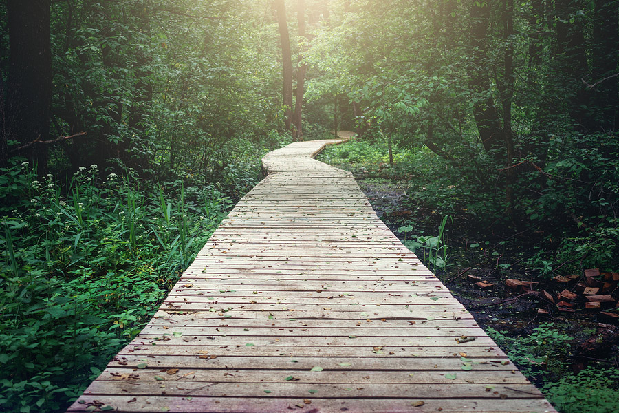 Pathway
