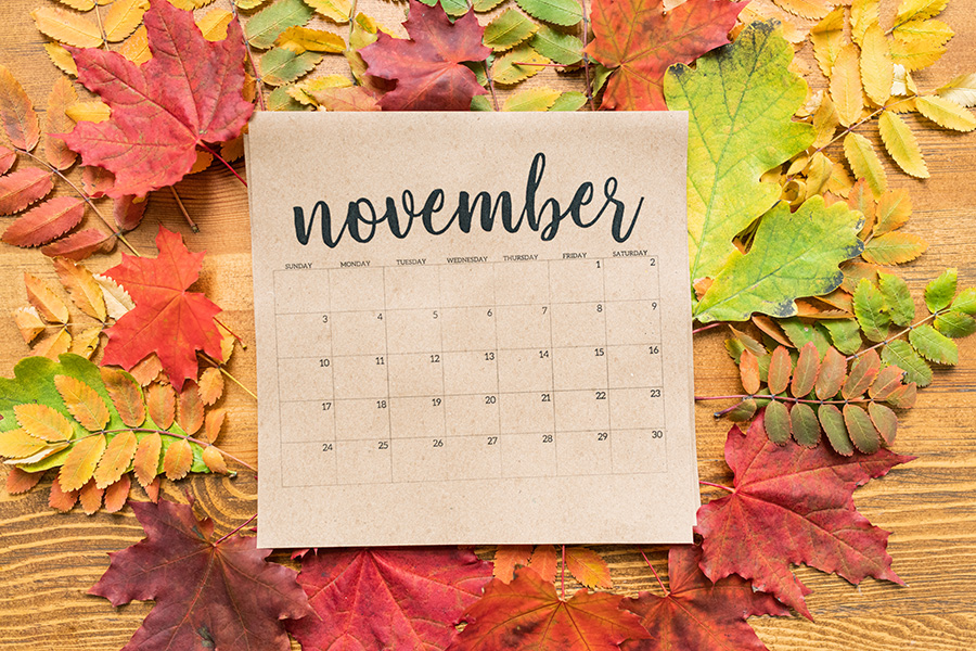 November 2023 Calendar